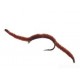 Nymphs San Juan worm brown $2.50