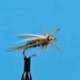Beaded Nymphs Bead Head Prince Rubber Leg $2.50