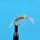Beaded Nymphs Bead Head Scud Grey $2.50