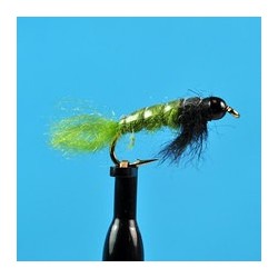 Beaded Nymphs Bead Head Uncased Caddis $2.50