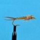 Beaded Nymphs Bead Head Woven Stone Fly Brown $2.50