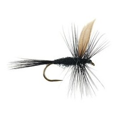 Barbless Flies Black Gnat BL $2.50