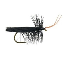 Barbless Flies Black Horned Roofing BL $2.50