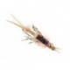 Beaded Nymphs BH Squiggly Estaz Egg FL Yellow $2.50