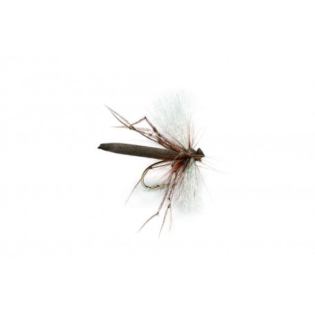 Special Dries Aero Daddy  Barbed $2.50