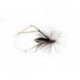 Special Dries Black Daddy Long Legs Parachute $2.50