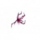 Special Dries claret daddy long legsubber legs goldhead $2.34