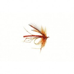Special Dries Dad's Daddy Natural $2.50