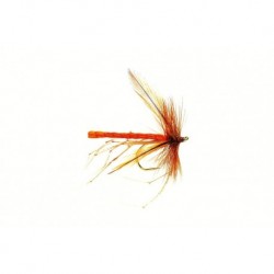 Special Dries Dad's Daddy Orange Fluorescent $2.50