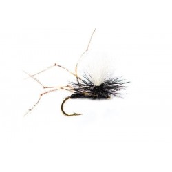 Special Dries Daddy (Drowning) CdC $2.50
