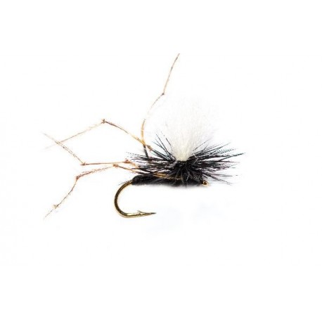 Special Dries Daddy (Drowning) CdC $2.50