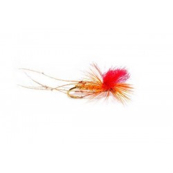 Special Dries Daddy (Steve's) $2.50