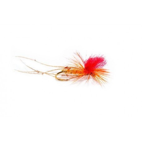 Special Dries Daddy (Steve's) $2.50