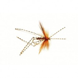 Special Dries Daddy Peacock $2.50