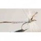 Special Dries detached body $2.50