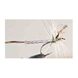 Special Dries detached body $2.50
