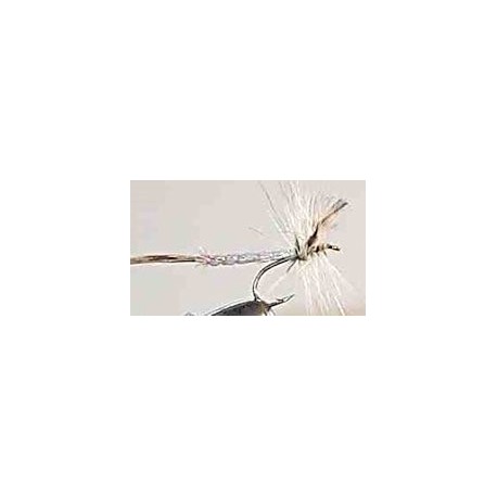 Special Dries detached body $2.50