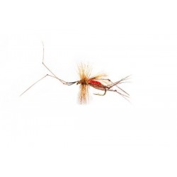 Special Dries Donegal Daddy Fishing Flies Online $2.50
