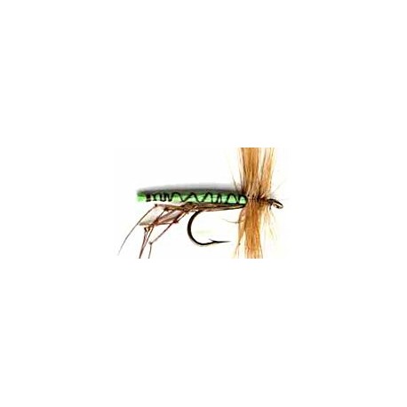 Special Dries green daddy $2.34