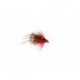 Special Dries hopper half hoged dunkeld sjc $2.34