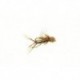 Special Dries Muddled Daddy Longlegs $2.34