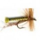 Special Dries olive daddy $2.50