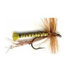 Special Dries olive daddy $2.50