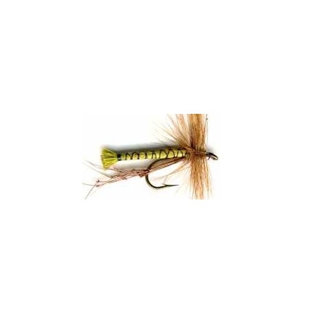 Special Dries olive daddy $2.50