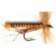 Special Dries orange daddys $2.50
