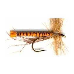 Special Dries orange daddys $2.50