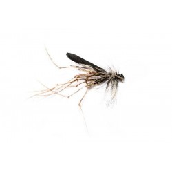 Special Dries Real Daddy Foam Black $2.50