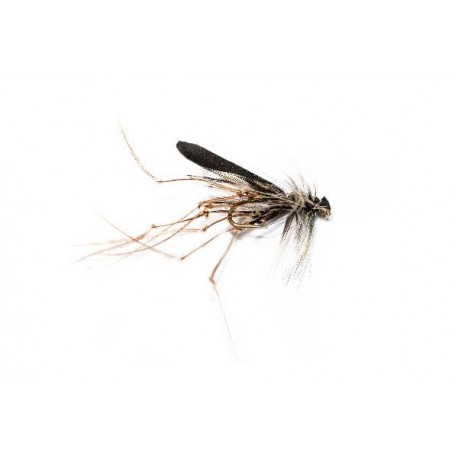 Special Dries Real Daddy Foam Black $2.50