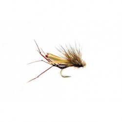 Special Dries The Daddyhog $2.50