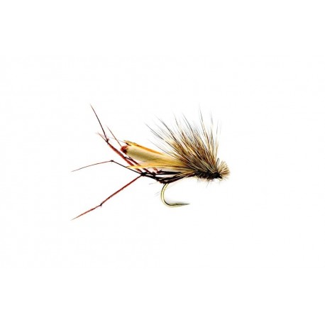 Special Dries The Daddyhog $2.34