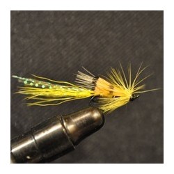 Salmon Singles Ally's Yellow $6.80