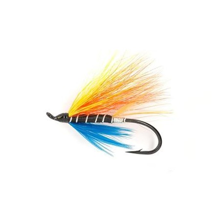 Salmon Singles garry $6.80