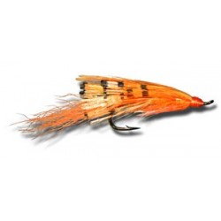 Salmon Singles General Practitioner Orange $6.80
