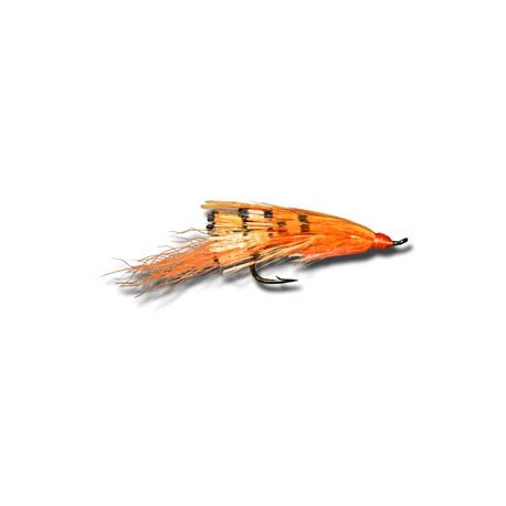 Salmon Singles General Practitioner Orange $6.80
