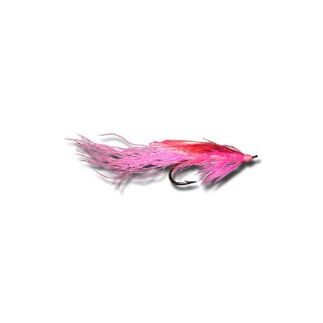 Salmon Singles General Practitioner Pink $6.80