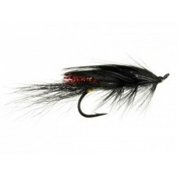 Salmon Singles General Practitioner Orange $6.80