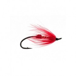 Salmon Singles main attraction $6.80