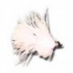 Salmon Singles Marabou Comet Orange $6.80