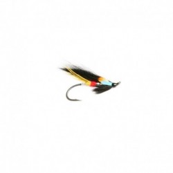 Salmon Singles Night Hawk $6.80