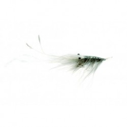 Salmon Singles Oeland Shrimp Grey $6.80