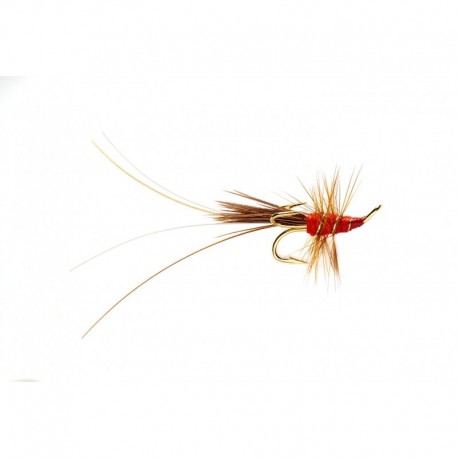 Salmon Singles Red Francis $6.80