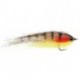 Bonefish Saltwaters bait brown trout $6.80