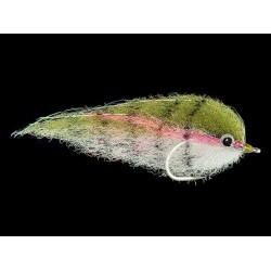 Bonefish Saltwaters bait king rainbow trout $6.80