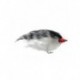 Bonefish Saltwaters deep water baitfish black and white $6.80