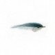 Bonefish Saltwaters dustin's destroyer blue and white $6.80