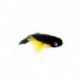 Pike b. monkey black $6.80